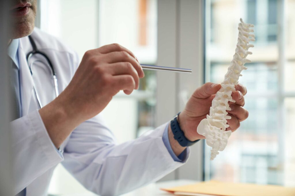 Doctor pointing out parts of the spine using a vertebrae model