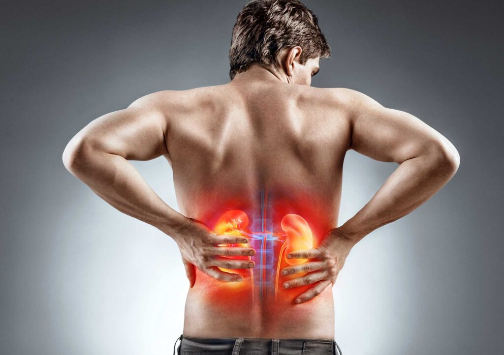 Man holding his back with a transparent view of the kidney and spinal structure
